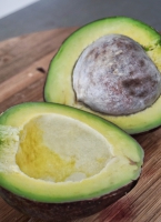 Fresh cut avocado in Lombok